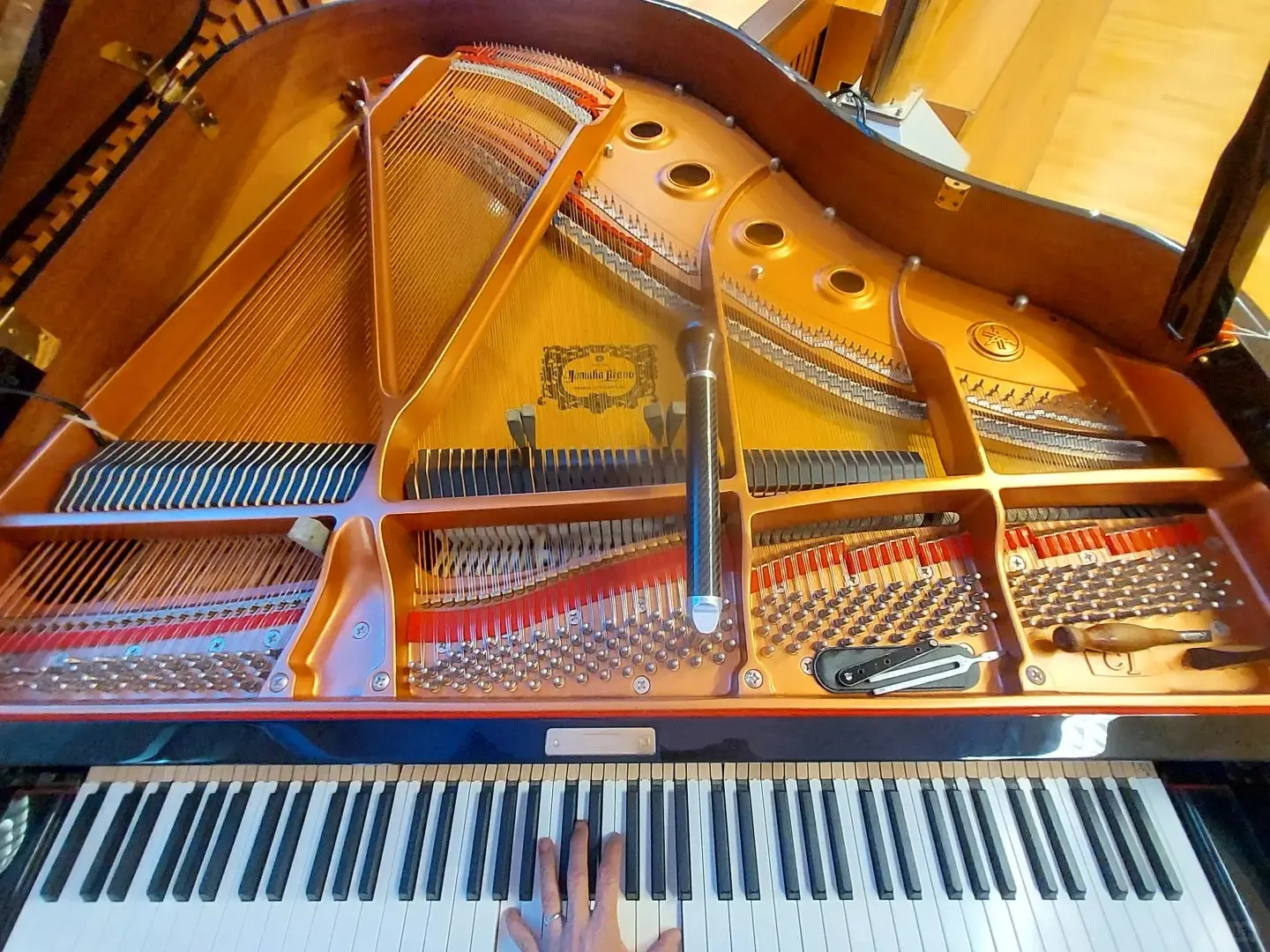Accord et entretien : intérieur et outils d un piano à queue