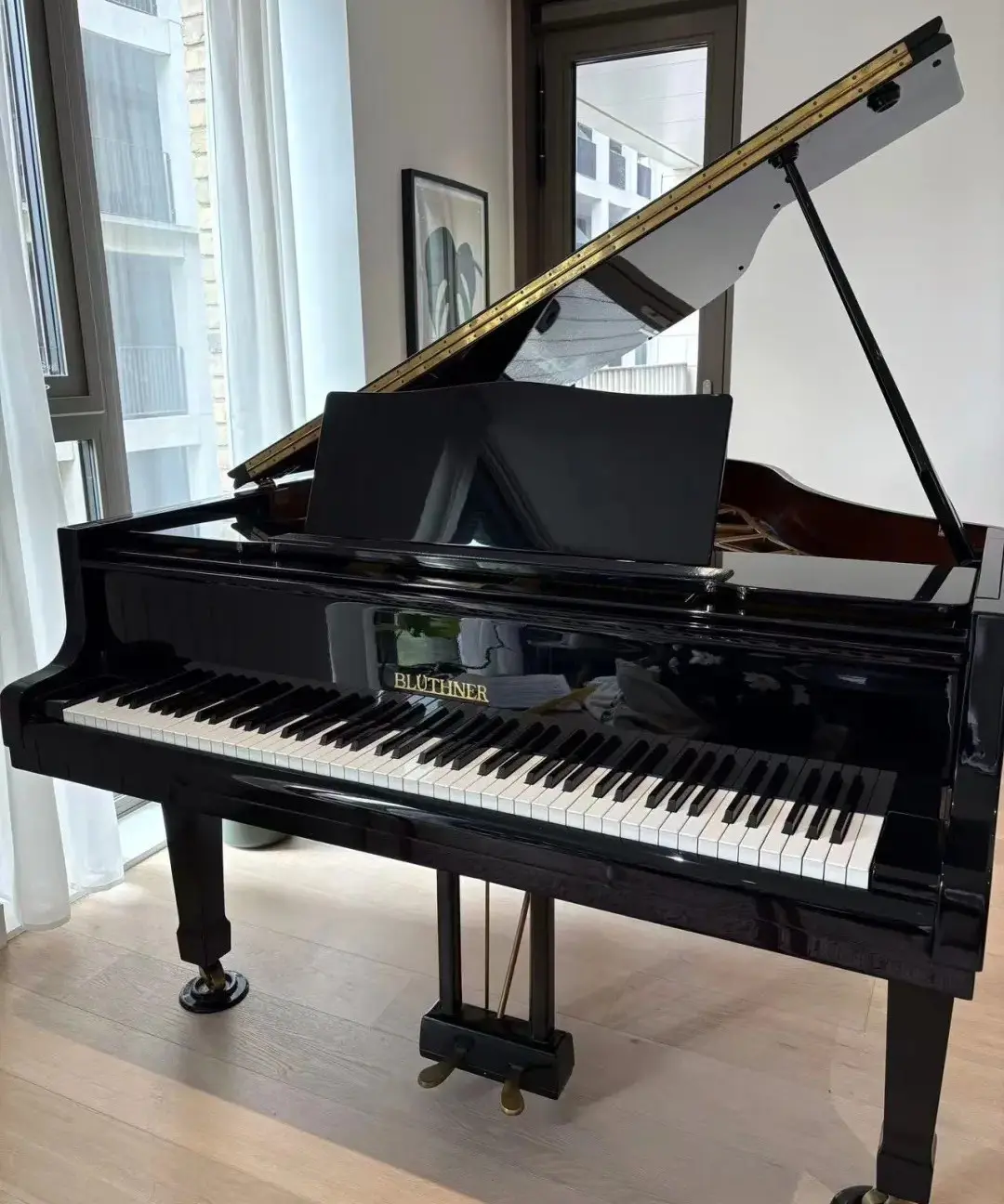 Piano à queue Blüthner