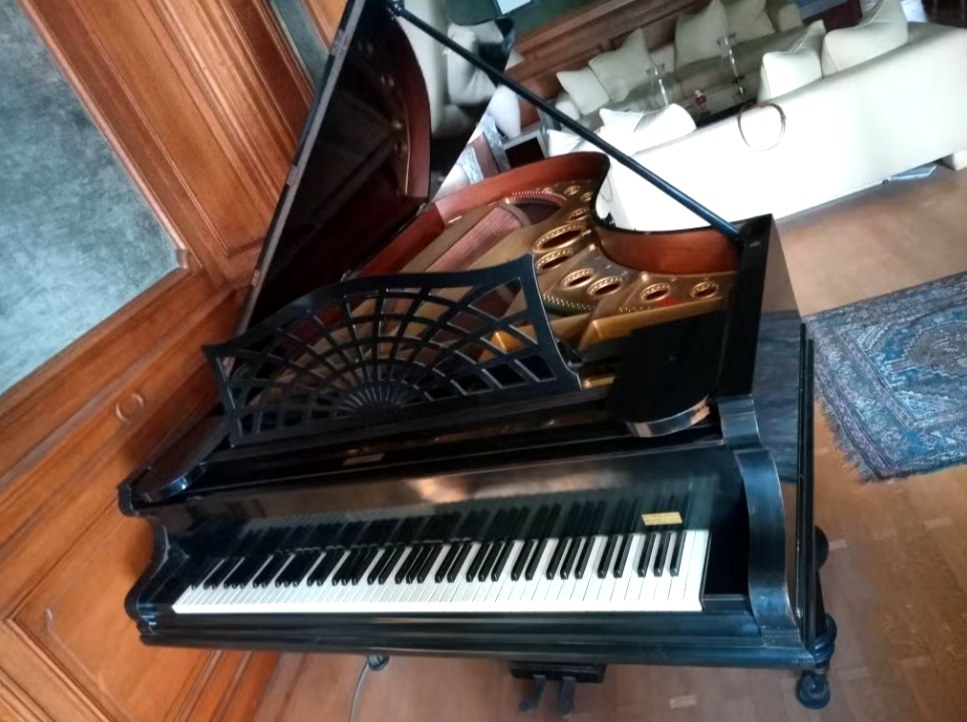 Bechstein C 1908 vu de dessus : cadre, cordes et pupitre