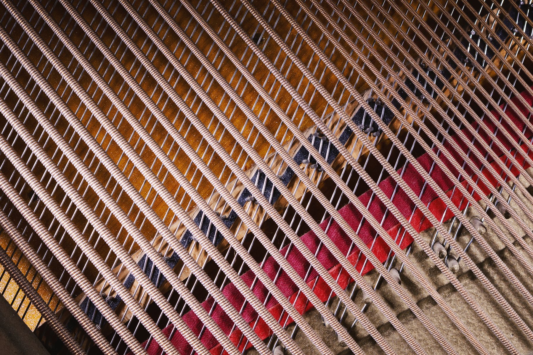 Cordes d’un piano vues de près